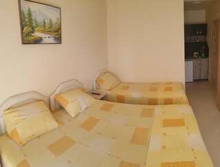 Апартаменты Apartments Pericic Сутоморе Апартаменты-студио-1