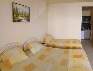 Апартаменты Apartments Pericic Сутоморе Апартаменты-студио-8